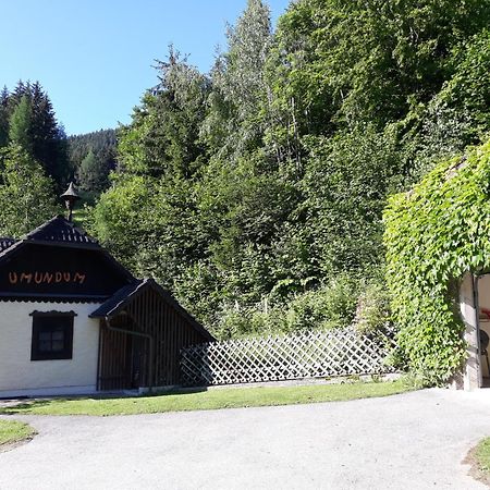 Umundumhuette Villa Katsch an der Mur Екстериор снимка