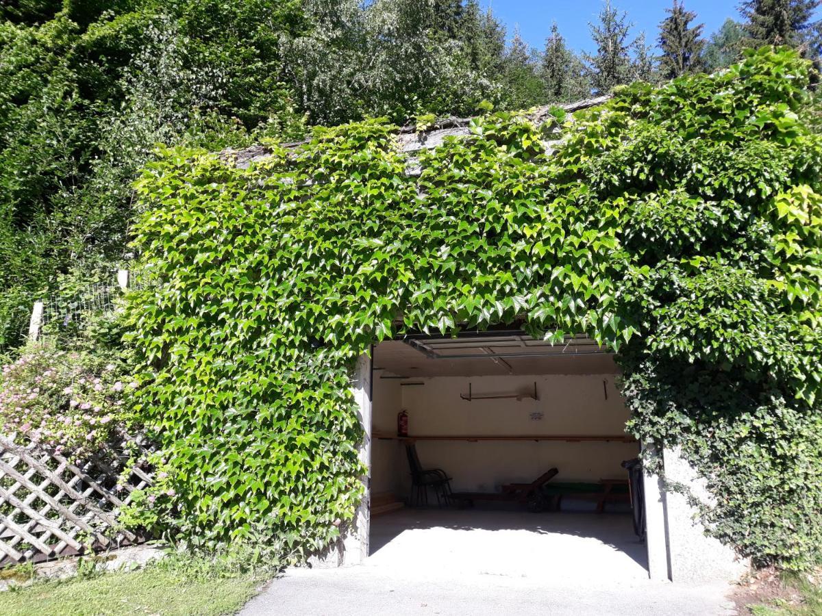 Umundumhuette Villa Katsch an der Mur Екстериор снимка