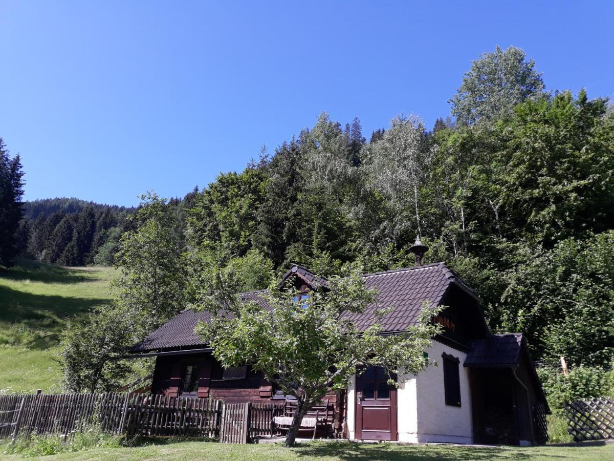 Umundumhuette Villa Katsch an der Mur Екстериор снимка