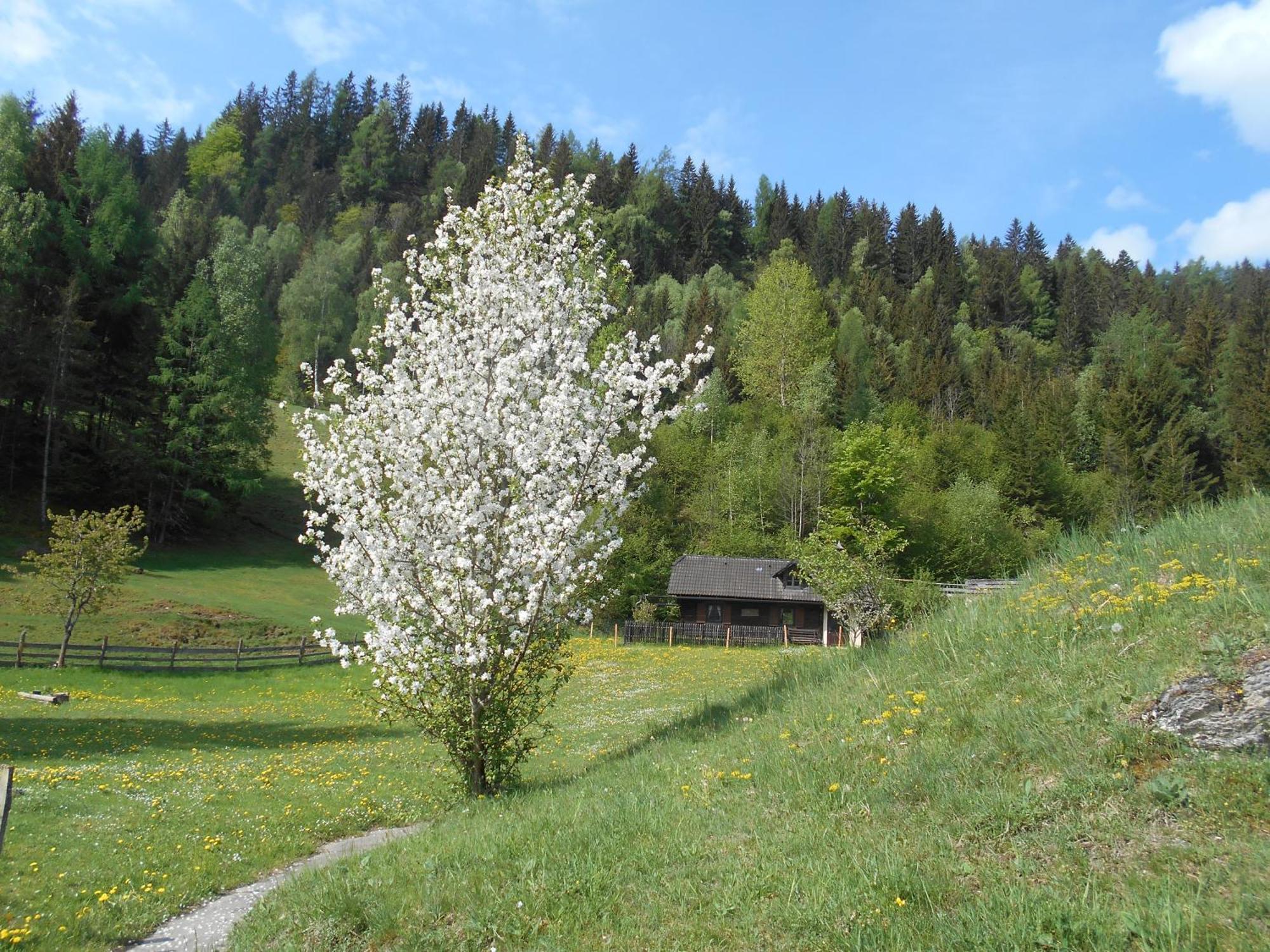 Umundumhuette Villa Katsch an der Mur Екстериор снимка