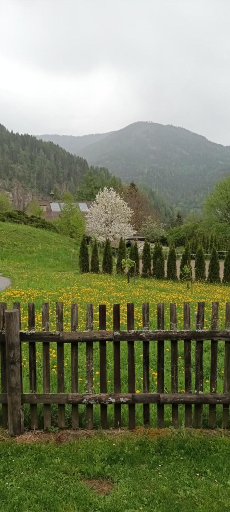 Umundumhuette Villa Katsch an der Mur Екстериор снимка