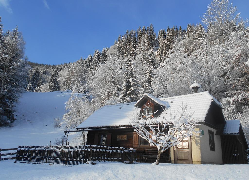 Umundumhuette Villa Katsch an der Mur Екстериор снимка