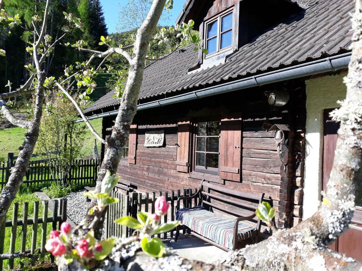 Umundumhuette Villa Katsch an der Mur Екстериор снимка
